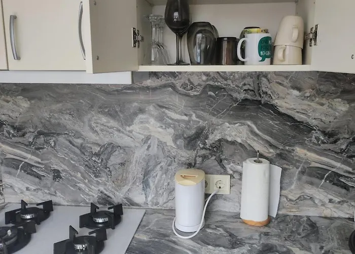 Miera Iela Apartment Riga